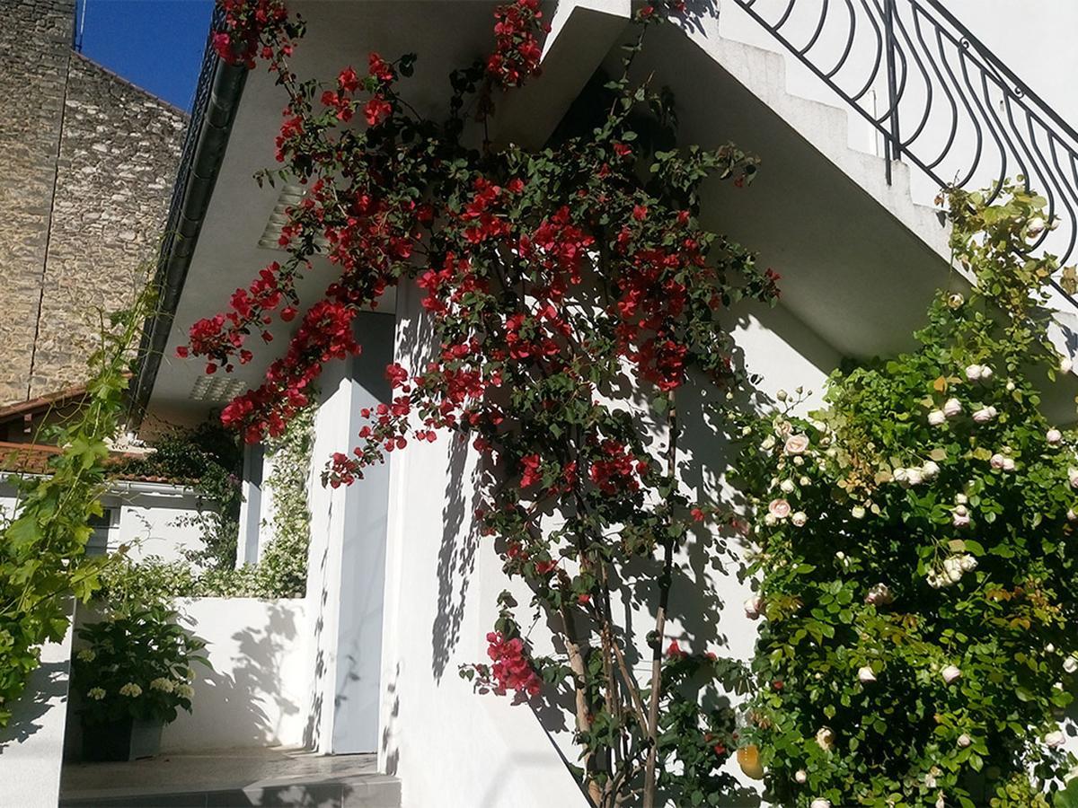 מונפלייה Le Clos Chez Michel מראה חיצוני תמונה