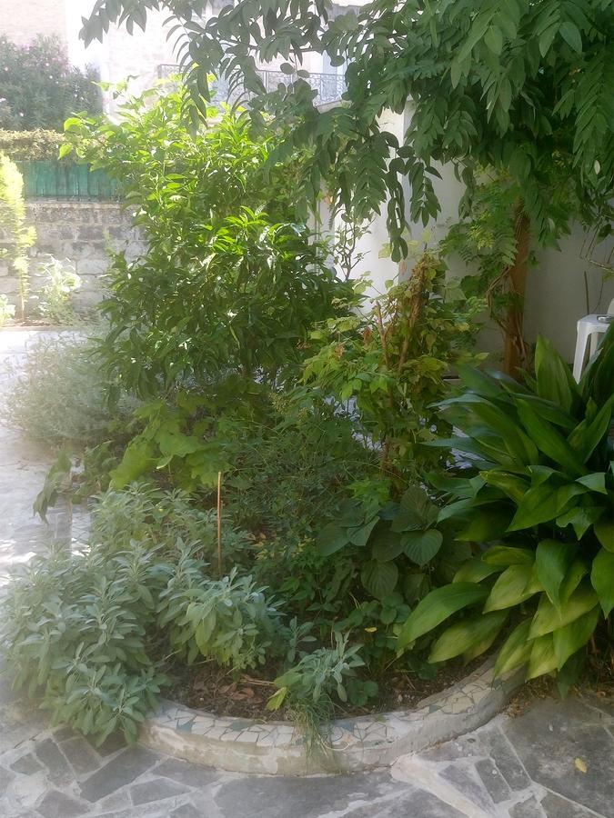 מונפלייה Le Clos Chez Michel מראה חיצוני תמונה